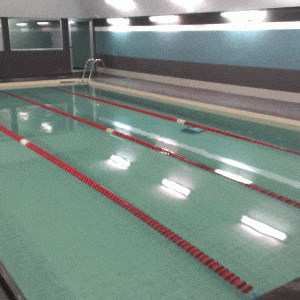 Visita mantenimiento piscina climatizada.
