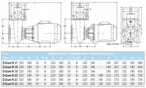 D-Giant-N (1) | PisciManía D-Giant-N (1)
