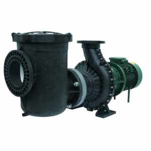 Bombas para piscinas publicas Serie F-GREAT GIANT. PSH