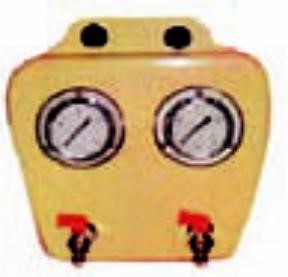 Paneles de Manómetros Prinze