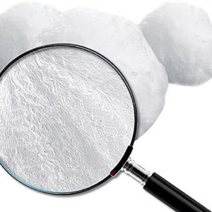 51rm1HPoHTL._AC_ | PisciManía