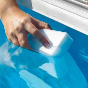 esponjas-magicas-gre (1) | PisciManía