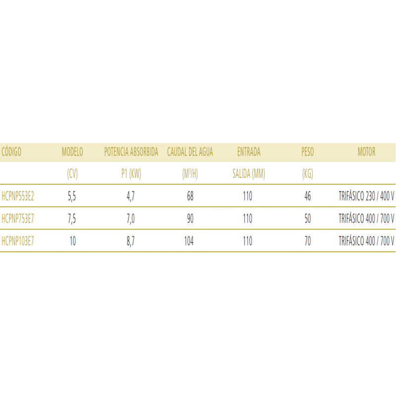 bomba-para-piscina-serie-neopump-marca-hayward1 | PisciManía
