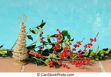 las-decoraciones-de-navidad-en-la-piscina-fotografia-de-archivo_csp25589991 | PisciManía